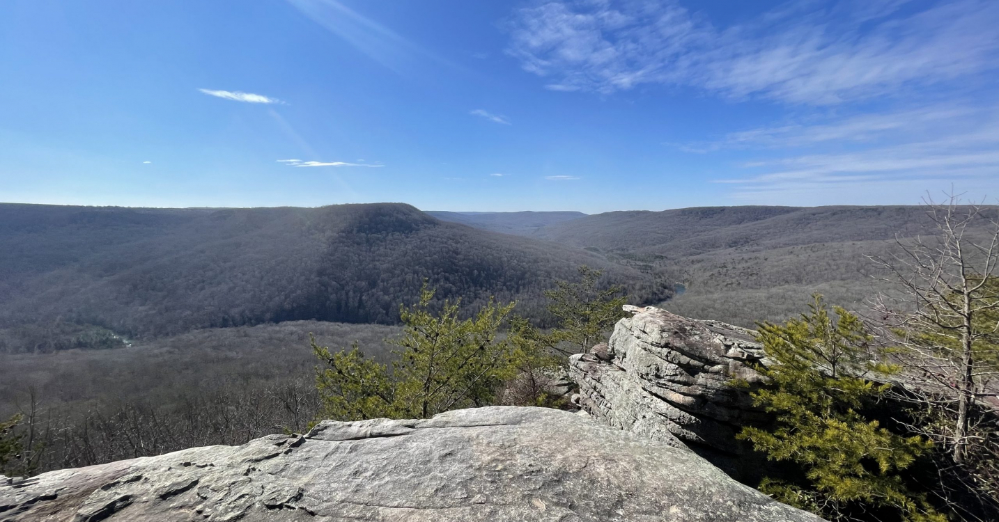 Ortale Kelley Attorney, Austin Warehime, Initiates Proceedings Against the State, TWRA, TWF, and Bridgestone for Violations of the Endangered Species Act